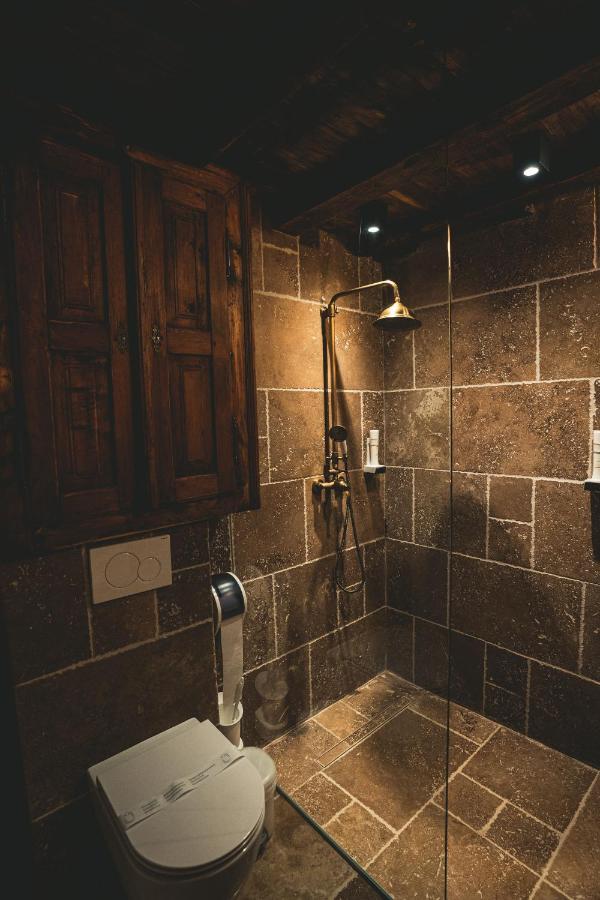 Hotel Conacul Sfantul Sava Brancovici Ineu  Exterior foto