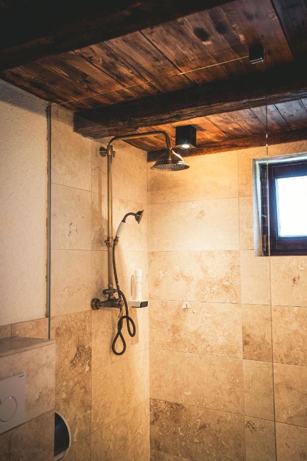 Hotel Conacul Sfantul Sava Brancovici Ineu  Exterior foto